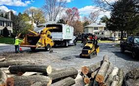 How Our Tree Care Process Works  in Braidwood, IL